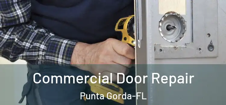  Commercial Door Repair Punta Gorda-FL