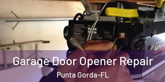 Garage Door Opener Repair Punta Gorda-FL