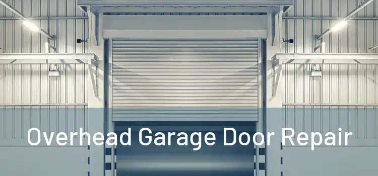  Overhead Garage Door Repair 